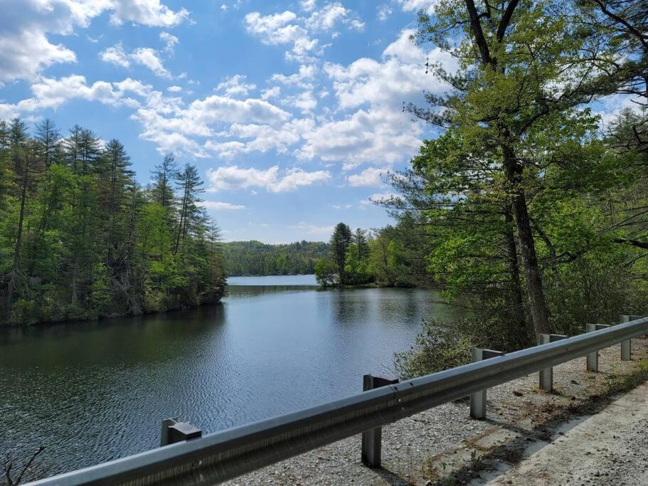 Cozy Swamp Rabbit - Sans Souci Greenville Furman Экстерьер фото